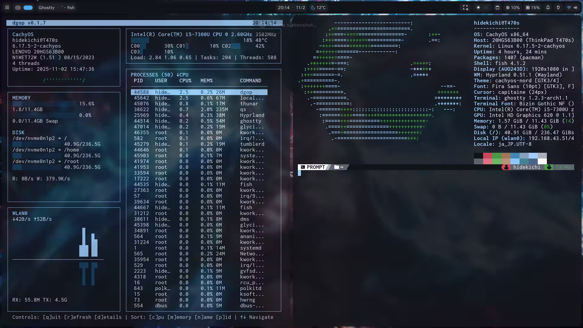 CachyOS-DankShell Dgop Terminal